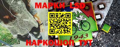 индика Донской