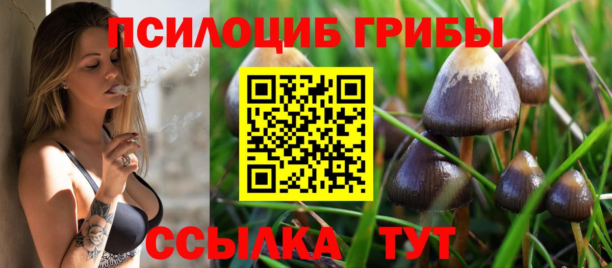 Галлюциногенные грибы MAGIC MUSHROOMS  Вход с VPN  Гуково  Галлюциногенные грибы мицелий 